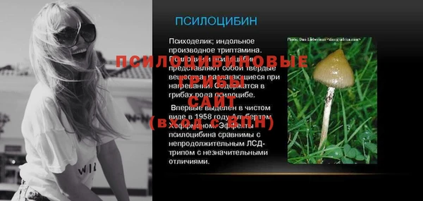 трава Строитель