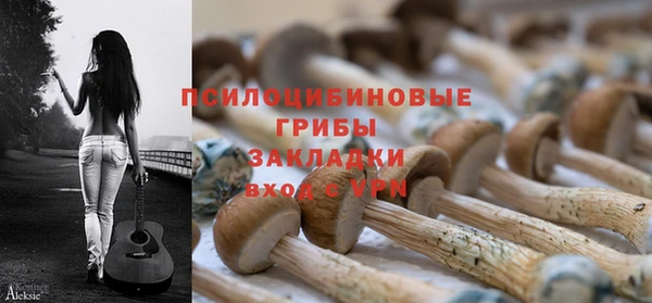 трава Строитель