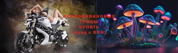 трава Строитель