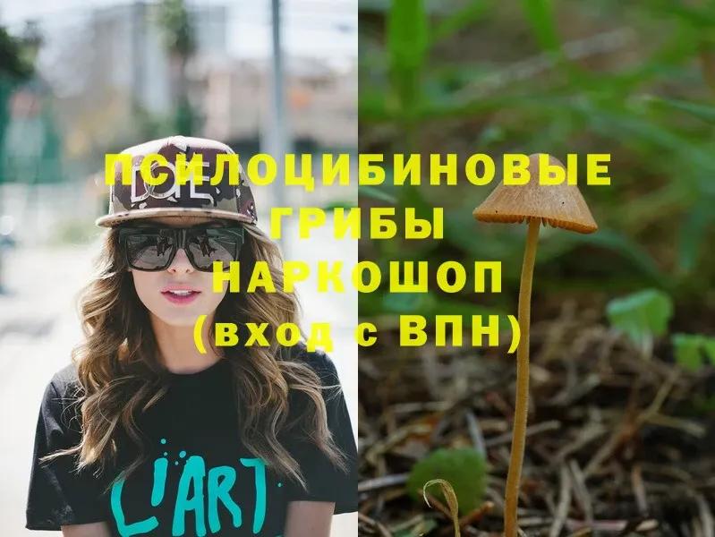 Галлюциногенные грибы Psilocybine cubensis  Агрыз 