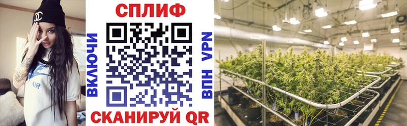 Марихуана LSD WEED  наркотики  Агрыз 